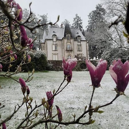 Saint-Léonard-de-NoblatChateau Maleplane住宿加早餐旅馆 外观 照片