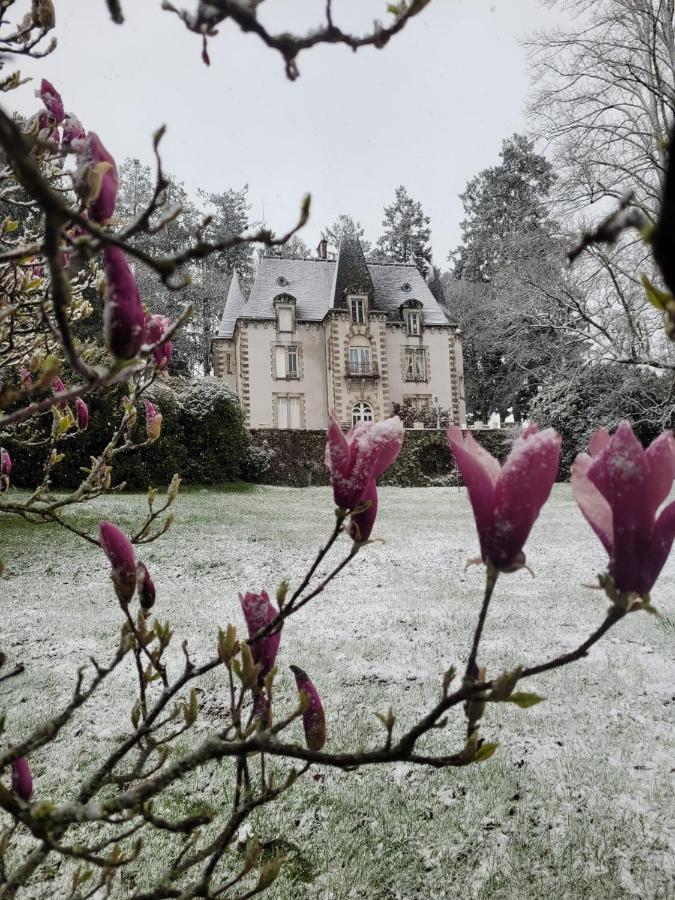 Saint-Léonard-de-NoblatChateau Maleplane住宿加早餐旅馆 外观 照片