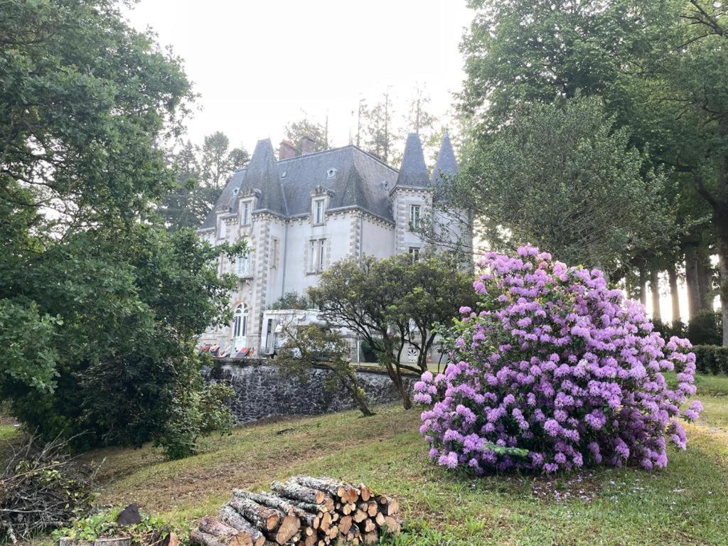 Saint-Léonard-de-NoblatChateau Maleplane住宿加早餐旅馆 外观 照片
