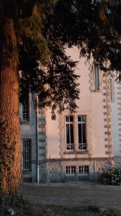 Saint-Léonard-de-NoblatChateau Maleplane住宿加早餐旅馆 外观 照片